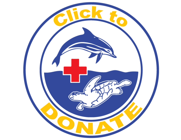 about-us-institute-for-marine-mammal-studies-inc