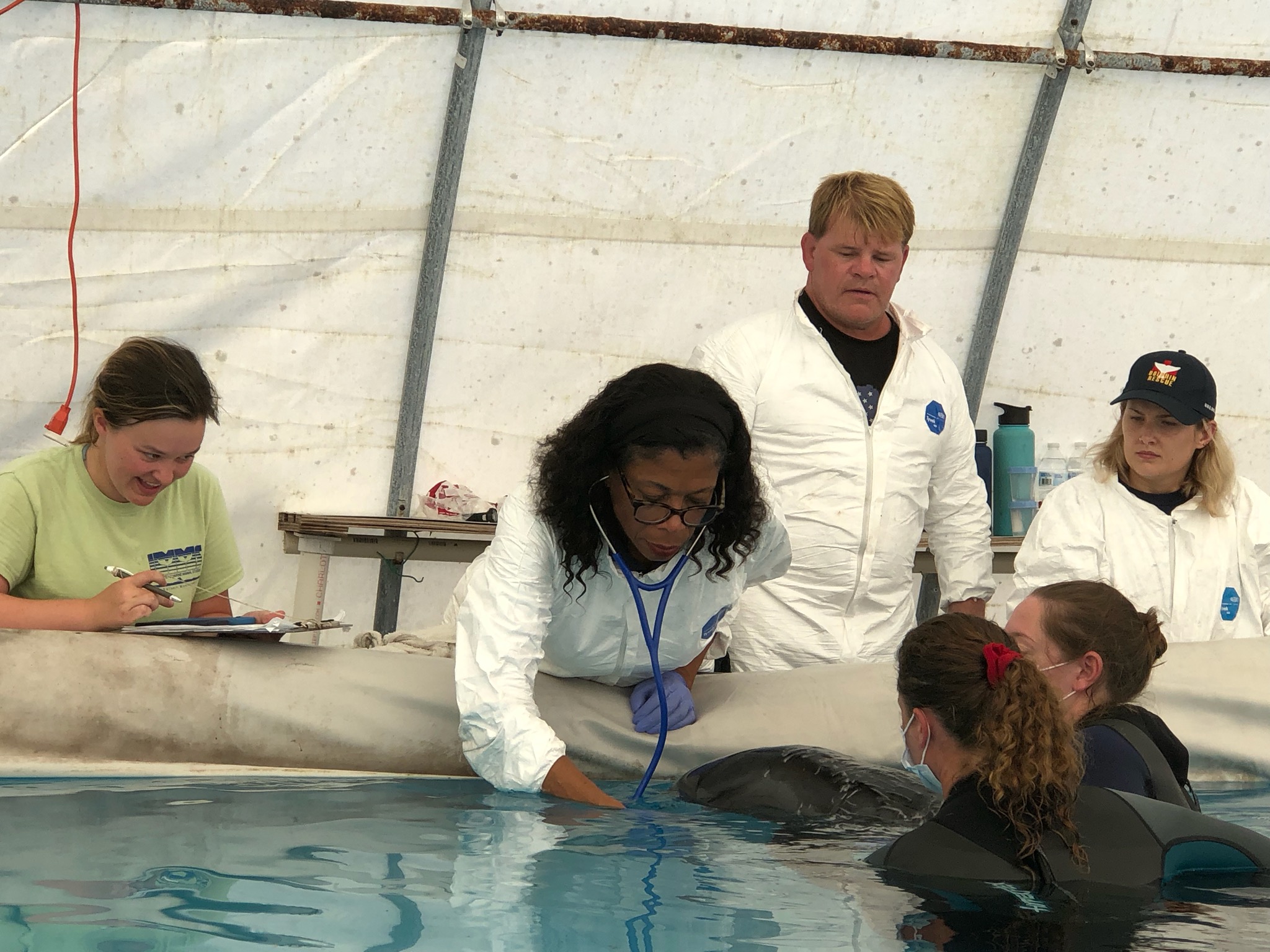 September 2019 Whale Rescue - Institute for Marine Mammal Studies Inc.