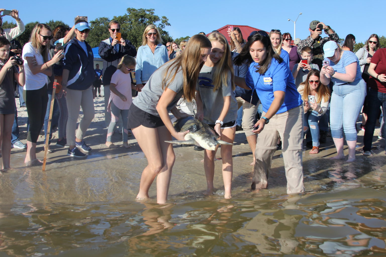 Education - Institute For Marine Mammal Studies Inc.